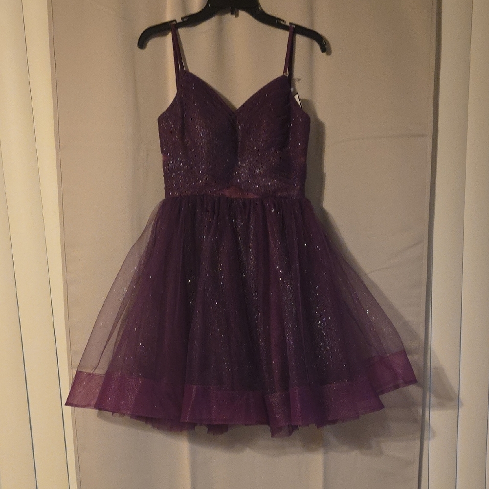 Sparkling Purple Homecoming Dress